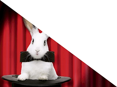 die_katze_im_sack_premieren_26-27_web_2500x1875px_ohne_titel